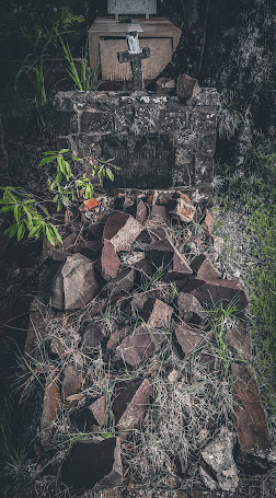 Mortui Vivos Docent (The Dead Teach the Living)